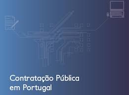 Imagem Relatório da Contratação Pública em Portugal 2013
